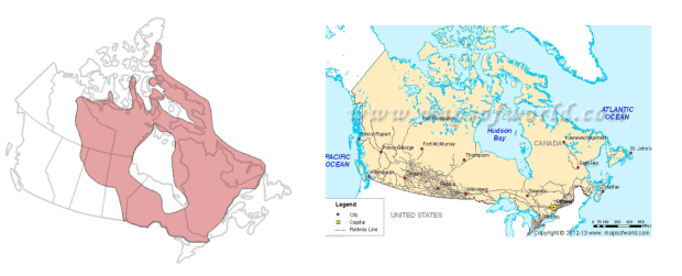 Canadian Shield .png